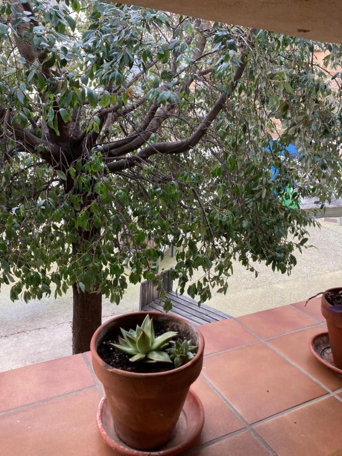 Casa Rural Hospital De Las Palabras Torrelles Dış mekan fotoğraf