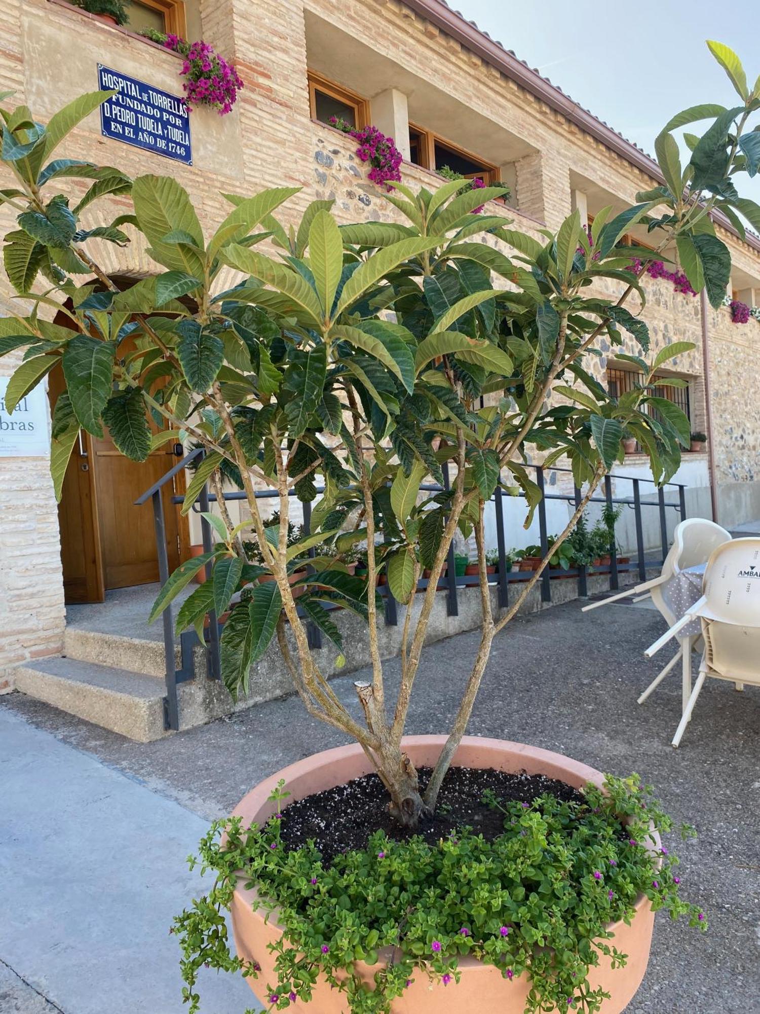 Casa Rural Hospital De Las Palabras Torrelles Dış mekan fotoğraf